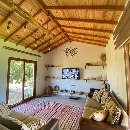 Villa Palaemon Datça